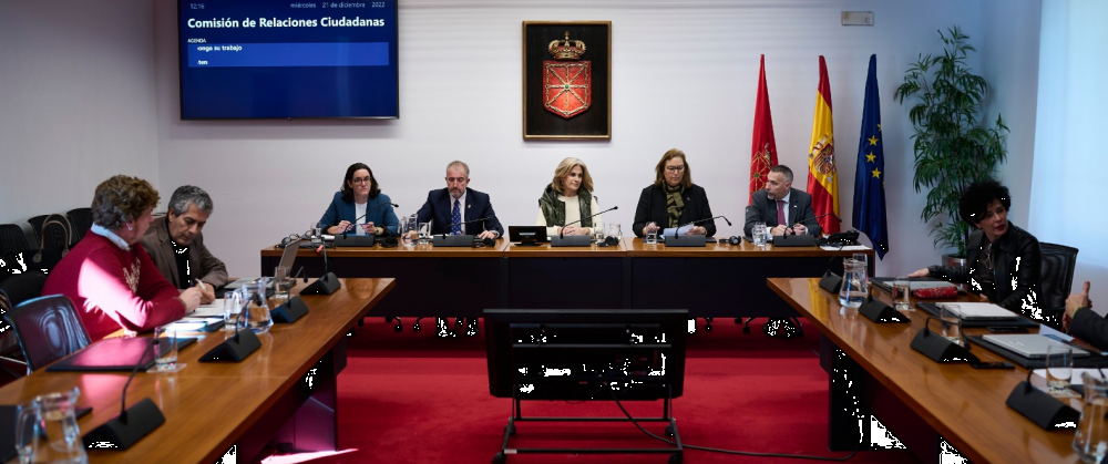 La AVT reivindica su papel en el Parlamento de Navarra y critica la actual situación que viven las víctimas del terrorismo